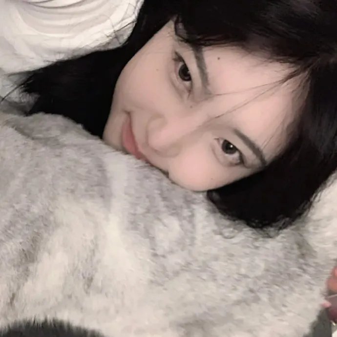 飞行之翼
